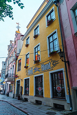 Popular pub for stag nights, Tallinn, Estonia, Europe