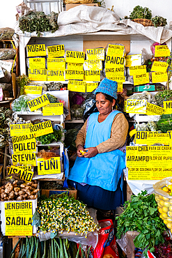 Stallholder surrounded by her herbal products in the main market, Sucre, UNESCO World Heritage Site, Bolivia, South America