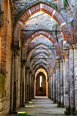 Colonnade in roofless 13th century Gothic Cistercian Abbey of San Galzano, Chiusdino, Tuscany, Italy, Europe