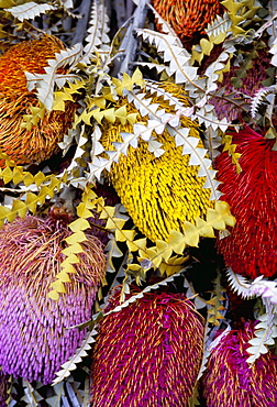 Flower market, Mong Kok, Kowloon, Hong Kong, China, Asia