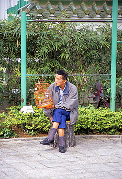 Yuen Po Street Bird Garden, Mong Kok, Kowloon, Hong Kong, China, Asia