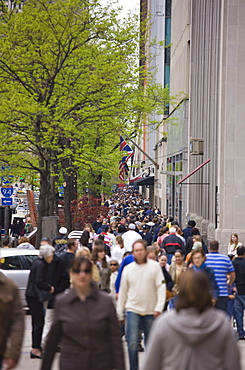 Shoppers on North Michigan Avenue, The Magnificent Mile, Chicago, Illinois, United States of America, North America