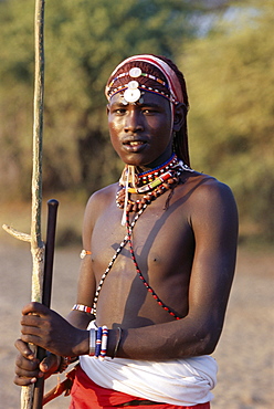 Young Masai morani or warrior with henna-ed hair and beadwork, Laikipia, Kenya, East Africa, Africa