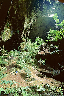 Looking out through entrance of cave, Deer Cave, Gunung Mulu National Park, UNESCO World Heritage Site, Sarawak, island of Borneo, Malaysia, Southeast Asia, Asia