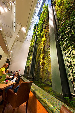 Vertical garden (living wall) designed by Patrick Blanc at the Dussman Das Kulturkaufhaus in Berlin, Germany, Europe