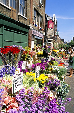 Vibrant displays of cut flowers at East End's Sunday flower market, Columbia Road, London, England, United Kingdom, Europe