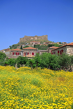 Castle above the town of Molyvos, Lesbos, North Aegean Islands, Greek Islands, Greece, Europe