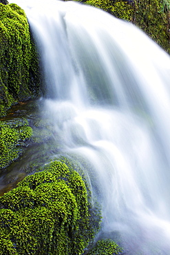 Waterfall, Glen Artney, near Crieff, Perthshire, Scotland, United Kingdom, Europe