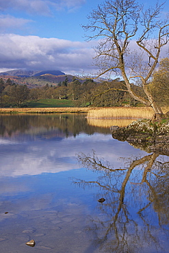 Sunrise, Ambleside, Lake Windermere, Lake District National Park, Cumbria, England, United Kingdom, Europe