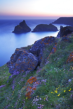 Kynance Cove, The Lizard, Cornwall, England, United Kingdom, Europe