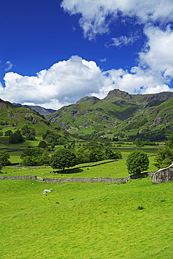 Langdale Pikes, Lake District National Park, Cumbria, England, United Kingdom, Europe