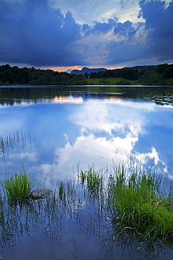 Loughrigg Tarn, Lake District National Park, Cumbria, England, United Kingdom, Europe