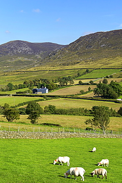 Luke's Mountain, Mourne Mountains, County Down, Ulster, Northern Ireland, United Kingdom, Europe