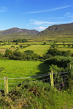 Slievenaglogh, Mourne Mountains, County Down, Ulster, Northern Ireland, United Kingdom, Europe