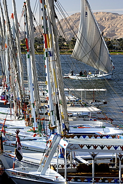 Fellucas on River Nile, Luxor, Thebes, Egypt, North Africa, Africa