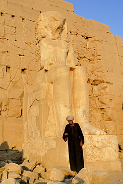 Alabaster sphinx, Karnak, near Luxor, Thebes, UNESCO World Heritage Site, Egypt, North Africa, Africa