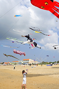 Kite festival, Charente Maritime, France, Europe