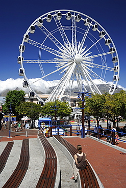 Ferris wheel, the Waterfront, Cape Town, South Africa, Africa