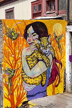 Wonderful graffiti, Valparaiso, UNESCO World Heritage Site, Chile, South America