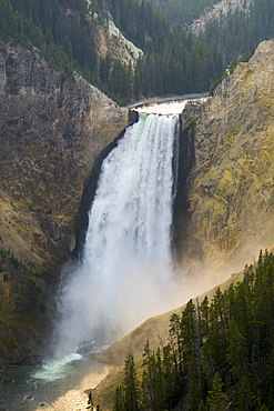 Yellowstone Falls and canyon, Yellowstone National Park, UNESCO World Heritage Site, Wyoming, United States of America, North America