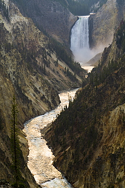 Yellowstone River and Falls, Yellowstone National Park, UNESCO World Heritage Site, Wyoming, United States of America, North America