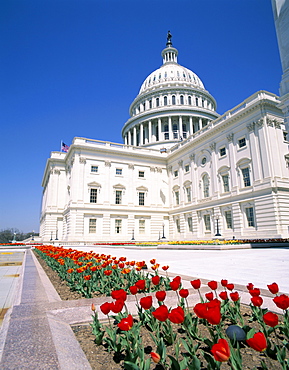 Capitol building, Washington DC, United States of America, North America