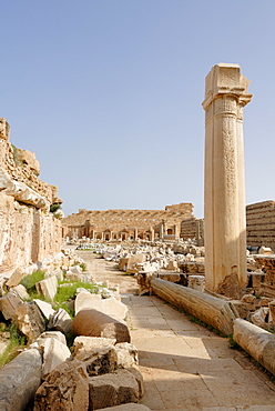 Via colonnata, Leptis Magna, UNESCO World Heritage Site, Libya, North Africa, Africa