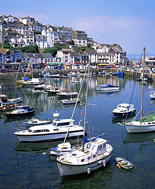 Harbour, Brixham, south Devon, England, United Kingdom, Europe