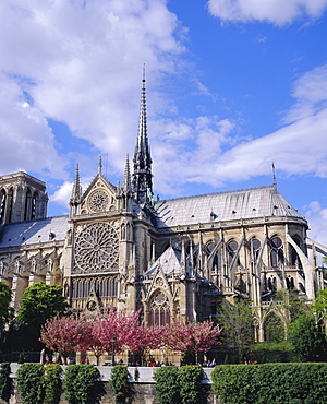 Notre Dame cathedral, Paris, France, Europe