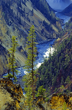 Grand Canyon, Yellowstone National Park, UNESCO World Heritage Site, Wyoming, United States of America (U.S.A.), North America