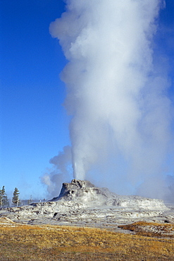 Castle Geyser, Upper Geyser Basin, Yellowstone National Park, Wyoming, USA 