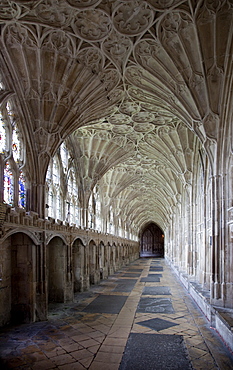 Interior of cloisters with fan vaulting, Gloucester Cathedral, Gloucester, Gloucestershire, England, United Kingdom, Europe