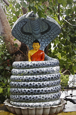 Roadside Buddhist shrine, with Buddha statue protected by a giant cobra, Sri Lanka, Asia