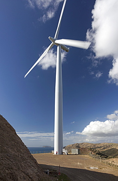 One of the turbines with a person for scale, West Wind wind farm of Meridian Energy at Makara, Wellington, North Island, New Zealand, Pacific