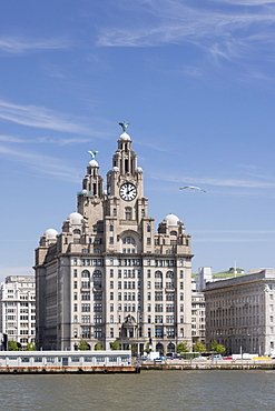 The Royal Liver Building from the Mersey, Liverpool, Merseyside, England, United Kingdom, Europe