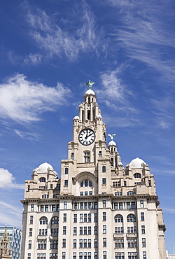 The Royal Liver Building close-up, Liverpool, Merseyside, England, United Kingdom, Europe