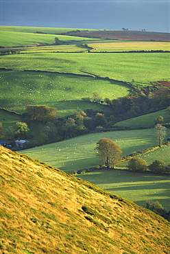 Rural landscape near Oare, Exmoor, Somerset, England, United Kingdom, Europe