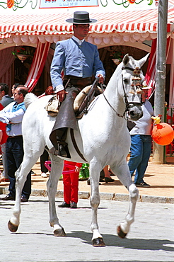 Seville - Spain - The Feria de Abril - Seville Fair - A horseman in traditional costume riding through the fairground 