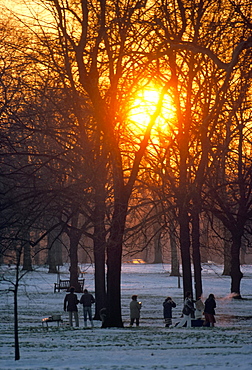 Hyde Park in winter, London, England, United Kingdom, Europe