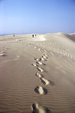 Dunes du Pilat, Guyenne, near Bordeaux, Aquitaine, France, Europe