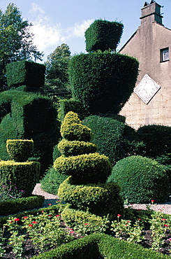 Topiary, Levens Hall, Cumbria, England, United Kingdom, Europe