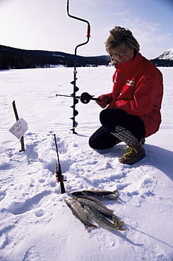 Ice fishing, Gola Lake area, Norway, Scandinavia, Europe