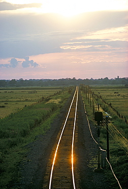 Single rail track running through countryside