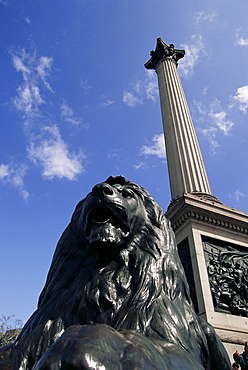 Lion statue below Nelson's Column, Trafalgar Square, London, England, United Kingdom, Europe