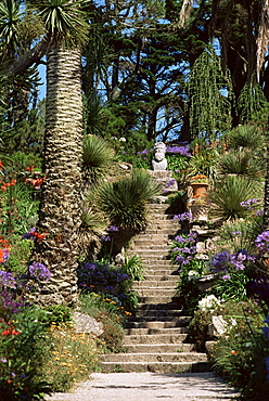 Abbey Gardens, Tresco, Isles of Scilly, United Kingdom, Europe