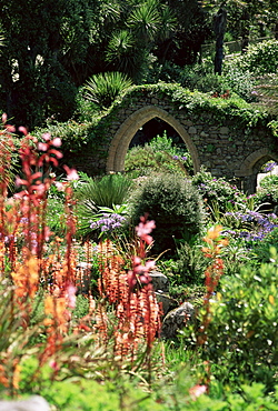 Abbey Gardens, Tresco, Isles of Scilly, United Kingdom, Europe