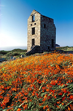 Disused tin mine building near Zennor, Cornwall, England, United Kingdom, Europe