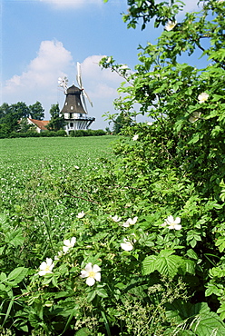 Egeskov Mill, Funen, Denmark, Scandinavia, Europe