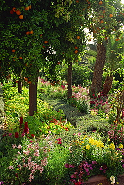 Garden of La Mamounia Hotel, Marrakesh, Morocco, North Africa, Africa