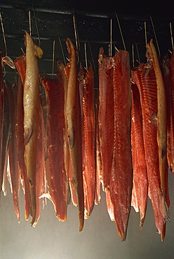 Fish inside the smokehouse furnaces, Scotland, United Kingdom, Europe